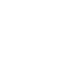 ce logo Avondale