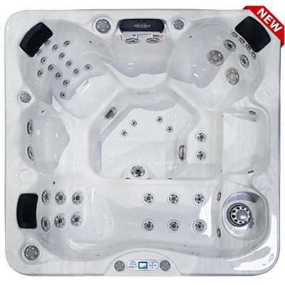 Costa EC-749L hot tubs for sale in Avondale