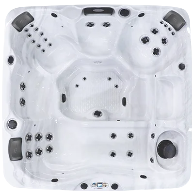 Avalon EC-840L hot tubs for sale in Avondale