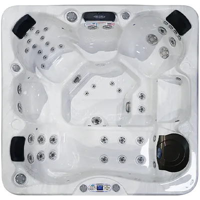 Avalon EC-849L hot tubs for sale in Avondale