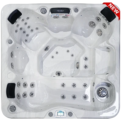 Avalon-X EC-849LX hot tubs for sale in Avondale