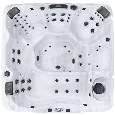 Avalon EC-867L hot tubs for sale in Avondale