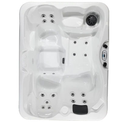 Kona PZ-519L hot tubs for sale in Avondale