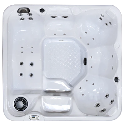 Hawaiian PZ-636L hot tubs for sale in Avondale